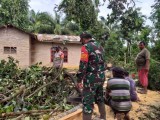 Ujung Padang Dilanda Puting Beliung, 17 Rumah Ditimpah Pohon