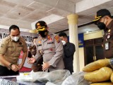 Kapolres Siantar Bakar 14,5 Kg Ganja Asal Aceh