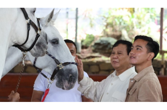 Prabowo Subianto dan Gibran Rakabuming Raka. (Foto:Istimewa)